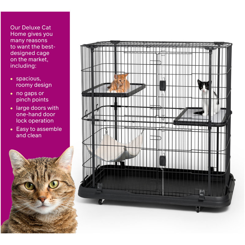 Archie & Oscar™ Elmo Cat Cage with Hammocks & Reviews Wayfair